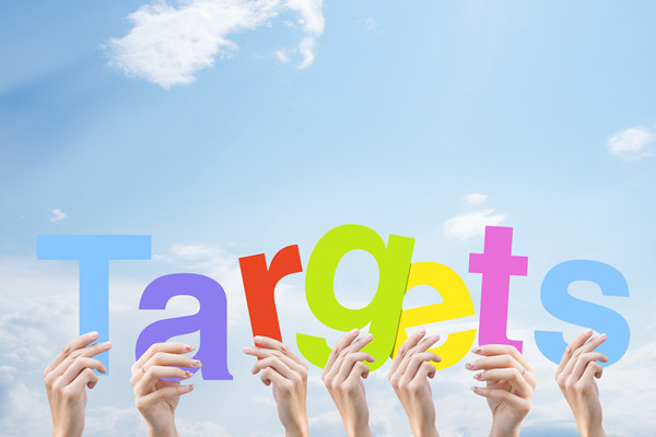 構(gòu)建科學(xué)績效管理體系，提升組織整體績效水平